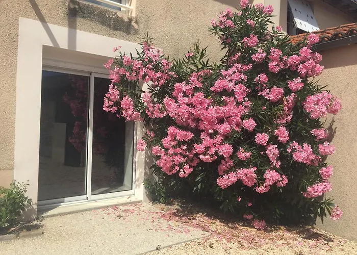 Gite De La Foye - Le Magnolia