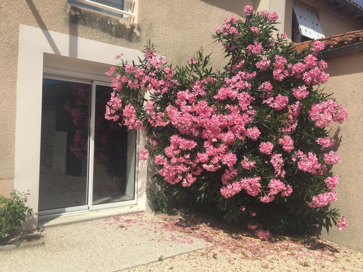 De La Foye - Le Magnolia * Combrand